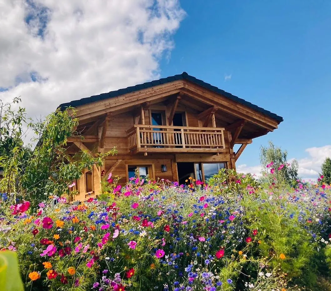 Chalet Neuf Vue Panoramique Sur Le Mont-Blanc コンブルー フランス